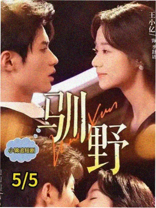 推荐剧集海报